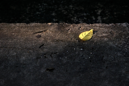 lonelyの写真素材