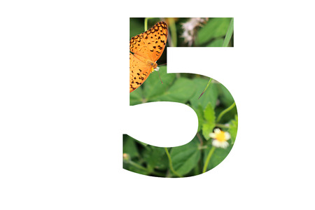 The number 5 with butterfly background inside