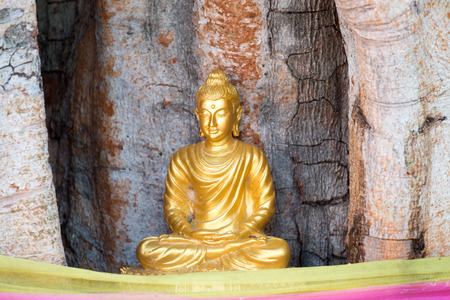 Buddha statue in thai templeの写真素材
