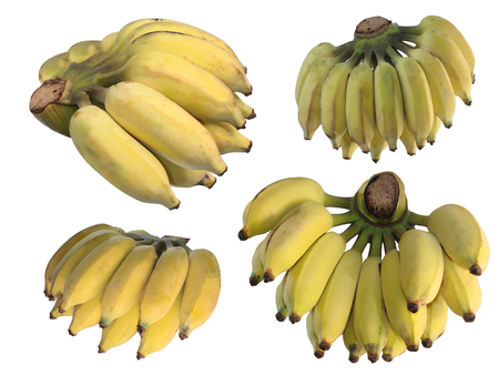 banana on white backgroundの写真素材