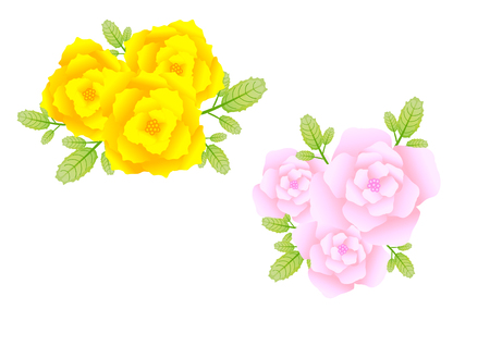 yellow and blue flower with white backgroundのイラスト素材