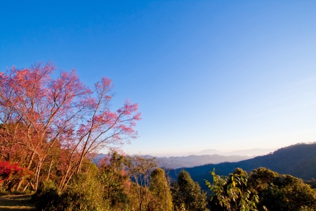 Khun Mae Ya, Thailandの写真素材