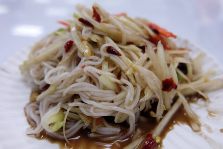 Papaya salad with Vermicelli, salted crab and Fermented Fishの写真素材