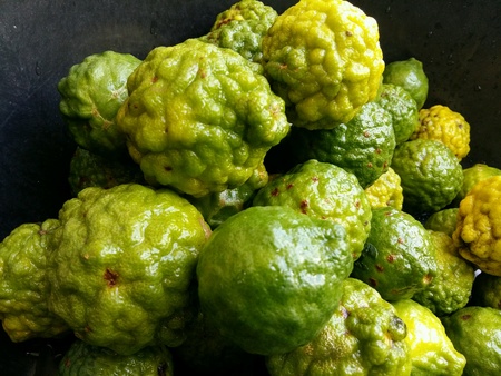 Bergamot