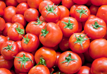  tomatoesの写真素材