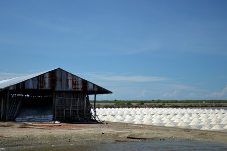 salt panの写真素材