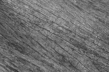 Background or textureの写真素材