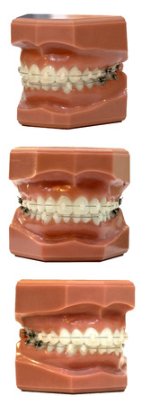 Dental Baistra Red Dentist Primary.