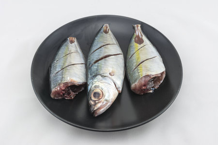 Fresh fishの写真素材