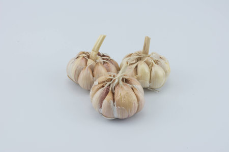 Garlicの写真素材
