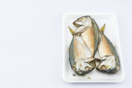 Mackerel in foam trayの写真素材