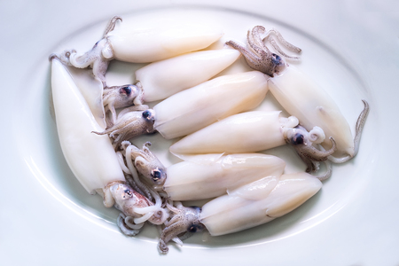 Close up  Fresh squid on white background, Seafood concept.の写真素材