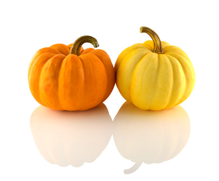 Pumpkin Fancy two colors on a white の写真素材