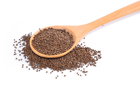 Sesamum with white backgroundの写真素材