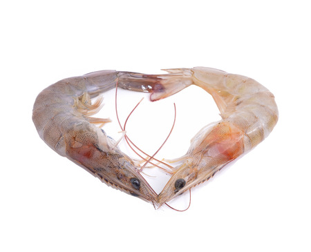 Shrimp  with white backgroundの写真素材
