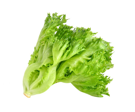 Frillice Iceberg with white backgroundの写真素材