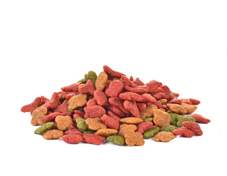 Dry dog food isolated on white background.の写真素材