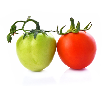 Tomato green and red on white backgroundの写真素材