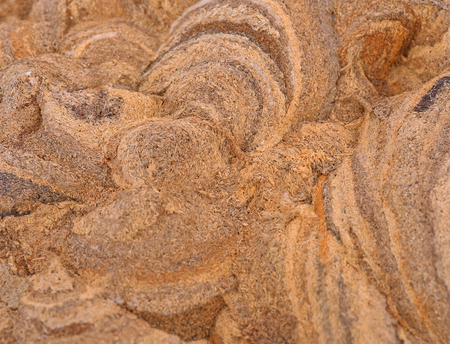 Background Wasp nestの写真素材