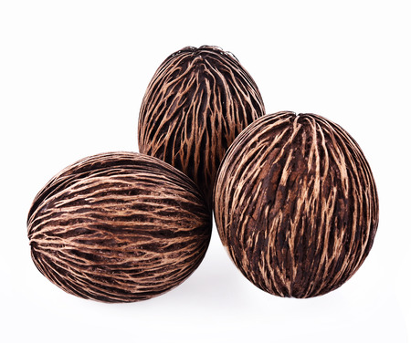 Suicide tree isolated on white backgroundの写真素材