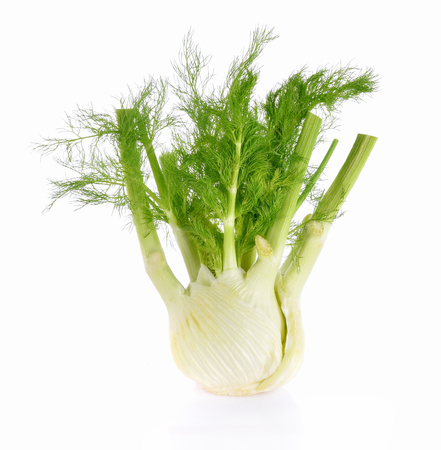 Fennel green root isolated on white backgroundの写真素材