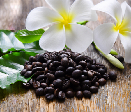 Coffee bean and flower on wooden table backgroundの写真素材