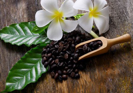 Coffee bean in wood spoon and flower on wooden  backgroundの写真素材