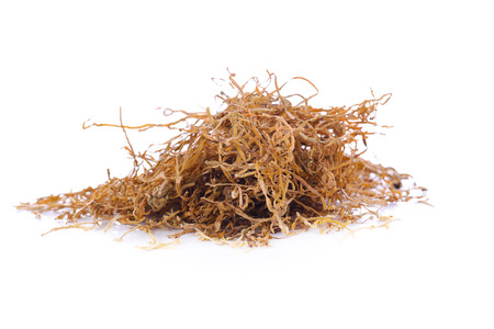 Tobacco on white backgroundの写真素材