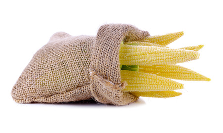 Baby corns in Hemp sack isolated on white backgroundの写真素材