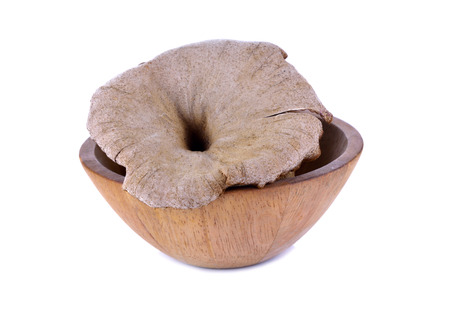 Dried mushrooms on white backgroundの写真素材