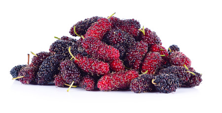 Blackberry isolated on white backgroundの写真素材