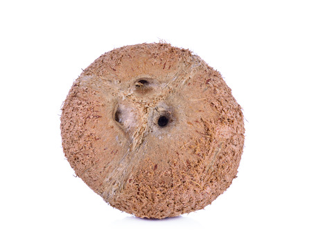 Desiccated coconut on white background