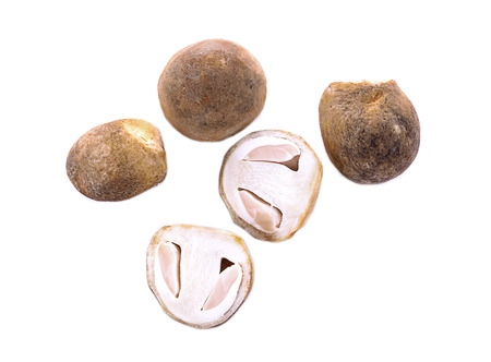 mushrooms isolated on whiteの写真素材