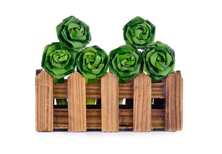 Fresh Pandan leaves isolated on white backgroundの写真素材