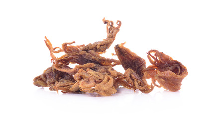 tentacle fried isolated on whiteの写真素材