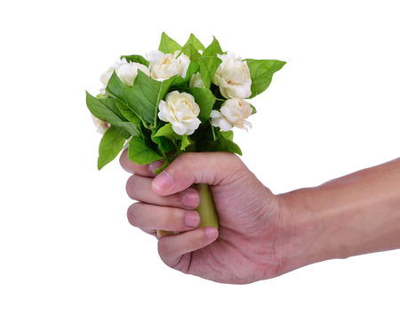 Jasmine flower fragrance isolated on white background.の写真素材