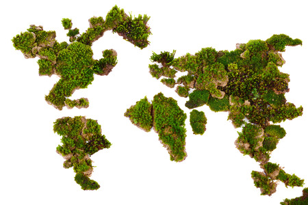 Map world made from green moss isolated on white background.の写真素材