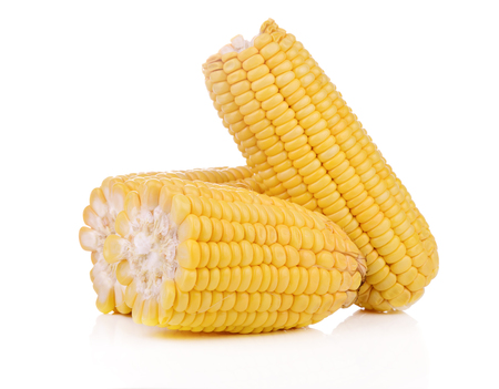 Sweet yellow corn isolated on white background.の写真素材