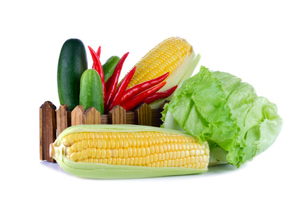 Vegetable isolated on white background.の写真素材