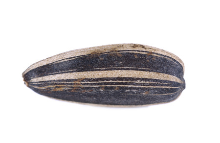 Sunflower seeds isolated on white background close-upの写真素材