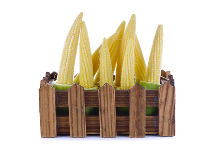 Baby corns isolated in a wooden crate on white background,wooden crateの写真素材