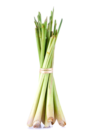 Lemon grass or Oil grass on white background.の写真素材