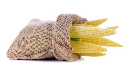 Baby corns in Hemp sack isolated on white backgroundの写真素材