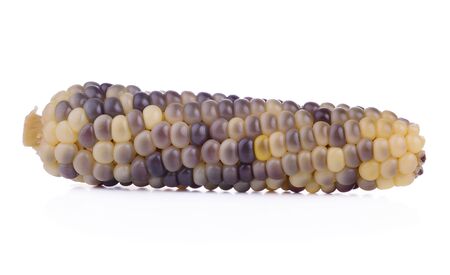 ripe purple corn isolated on white background.の写真素材