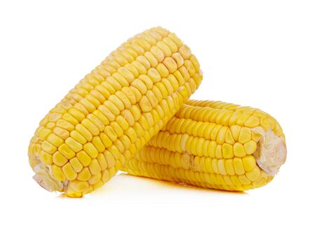 Sweet yellow corn isolated on white background.の写真素材