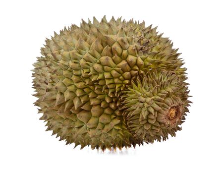 Durian isolated on white background.の写真素材