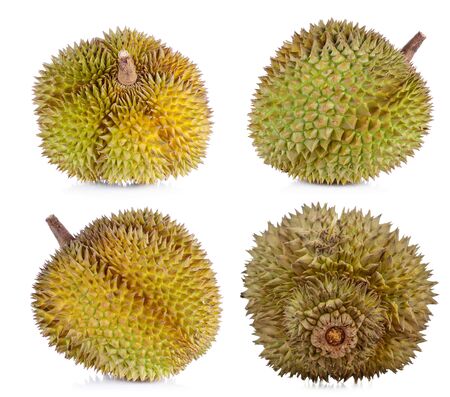 yellow durian in side Mon Thong durian fruit on white backgroundの写真素材