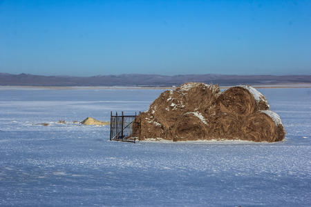Bundles of straw on snowの写真素材