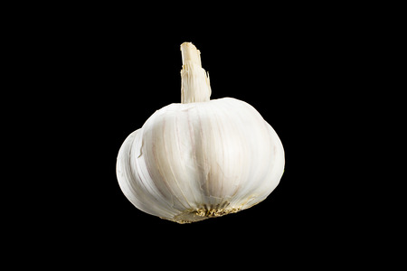 Garlic On black background