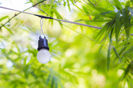 lamp in garden,green bokehの写真素材